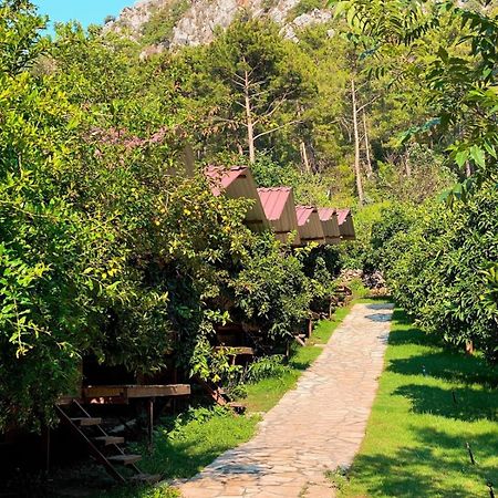 Olympos Camlik Pension 외부 사진