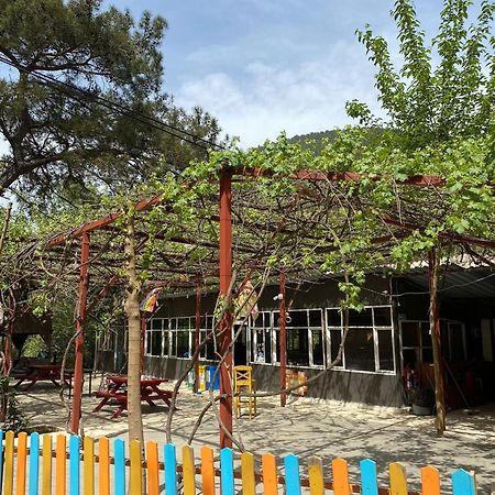 Olympos Camlik Pension 외부 사진