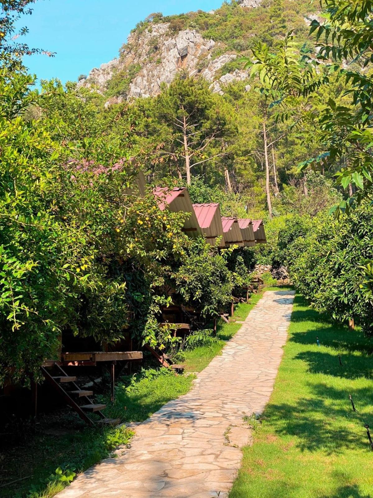 Olympos Camlik Pension 외부 사진