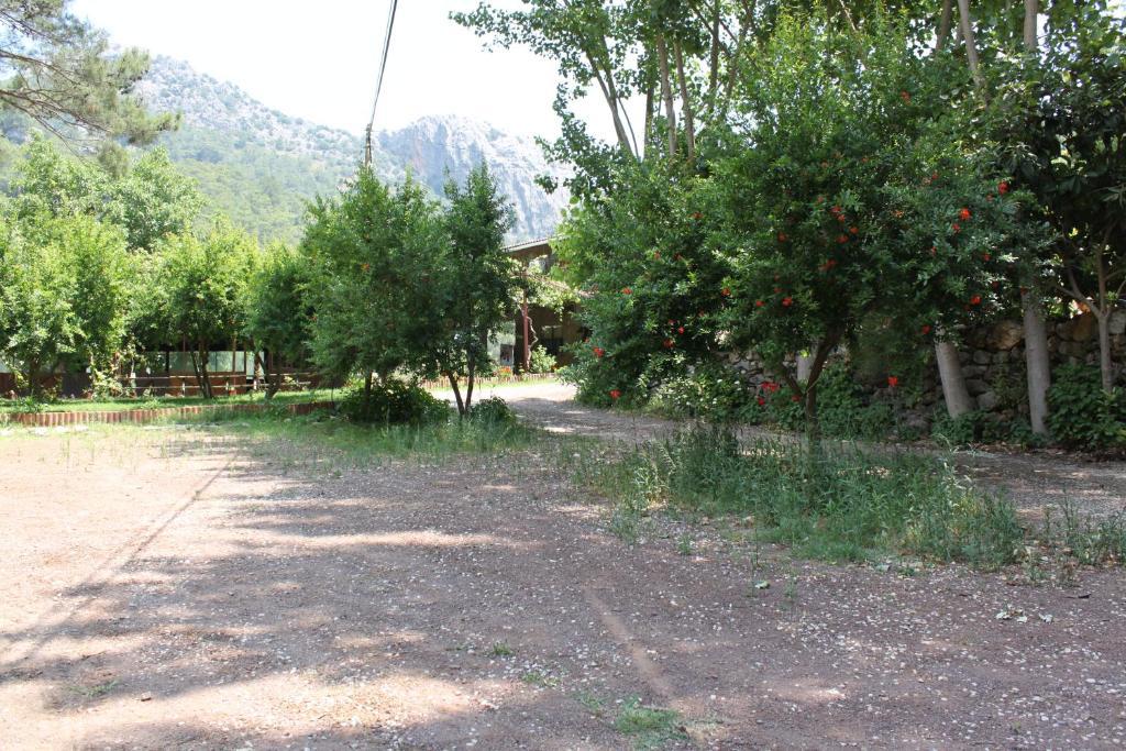 Olympos Camlik Pension 외부 사진
