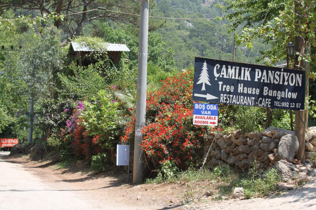 Olympos Camlik Pension 외부 사진