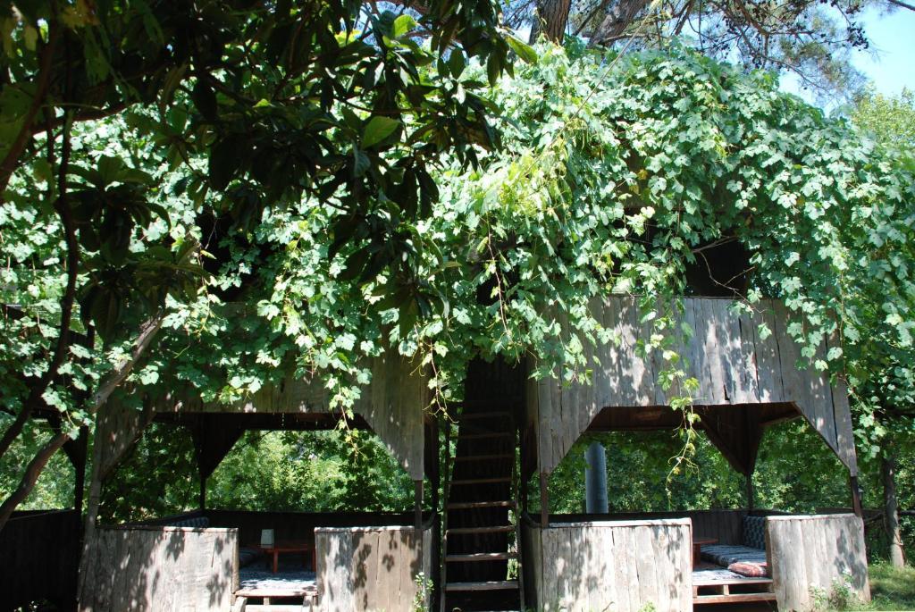 Olympos Camlik Pension 외부 사진