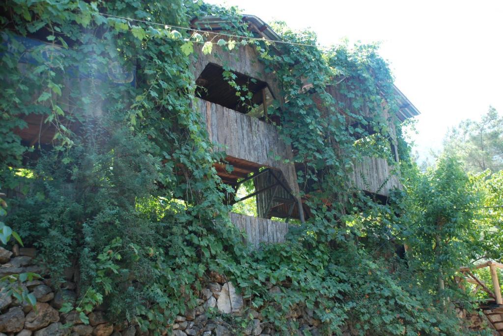 Olympos Camlik Pension 외부 사진
