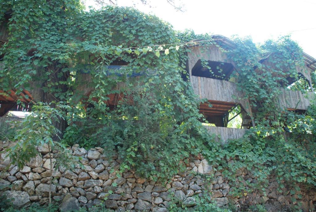 Olympos Camlik Pension 외부 사진